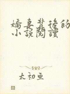 娇妻背后的秘密小说阅读