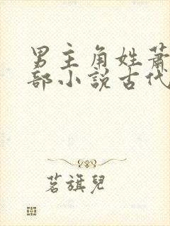 男主角姓萧的全部小说古代封面