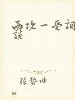 两攻一受调教小说