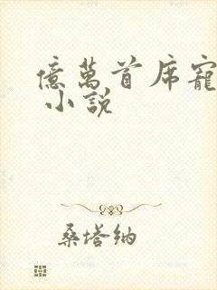 亿万首席宠上瘾 小说