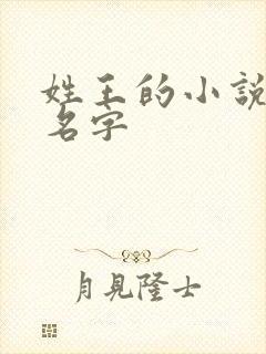 姓王的小说女主名字