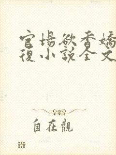 官场欲香娇妻报复小说全文阅读