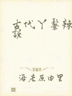 古代丫鬟辣文小说