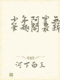 少年阿宾无弹窗笔趣阁最新章节列表