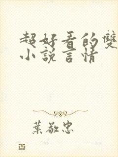 超好看的双男主小说言情