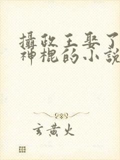 摄政王娶了个小神棍的小说