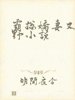 霸总娇妻又辣又野小说