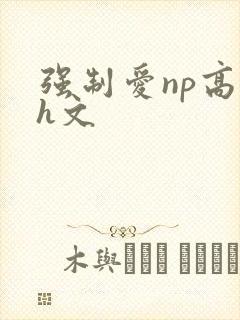 强制爱np高辣h文