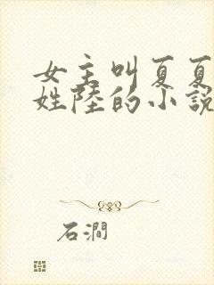 女主叫夏夏男主姓陆的小说