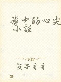 薄少的心尖宠儿 小说