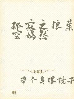 孤寂之狼叶凡司空嫣然