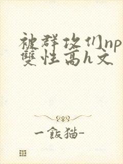 被群攻们np肉双性高h文封面