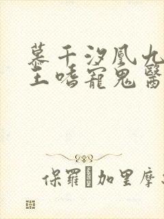 慕千汐凰九夜邪王嗜宠鬼医狂妃免费阅读