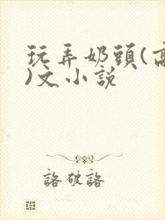 玩弄奶头(高h)文小说封面