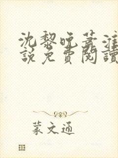 沈黎晚萧淮正小说免费阅读