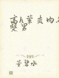 高h荤爽肉欲文双男