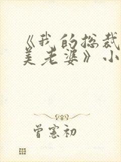 《我的总裁白富美老婆》小说