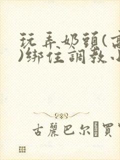 玩弄奶头(高h)绑住调教小说封面