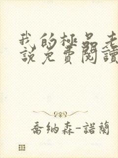 我的极品老婆小说免费阅读全文