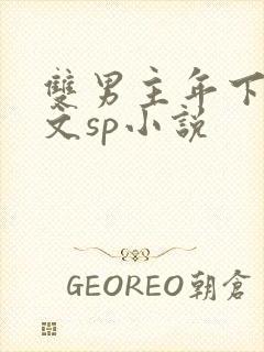 双男主年下训诫文sp小说封面