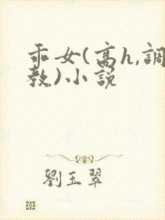 乖女(高h,调教)小说