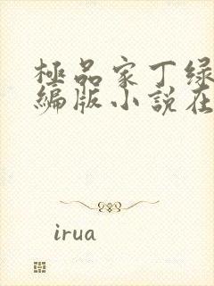 极品家丁绿帽改编版小说在哪里看