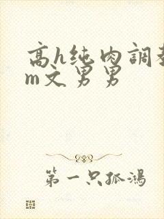 高h纯肉调教sm文男男