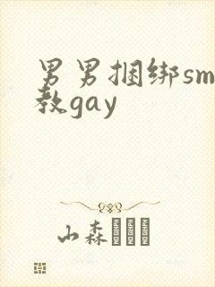 男男捆绑sm调教gay封面