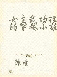 女主武功很厉害的穿越小说
