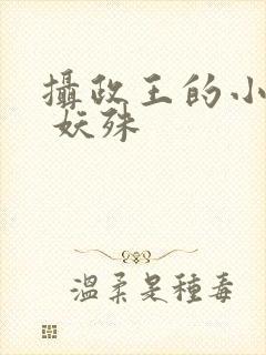 摄政王的小闲妻 妖殊