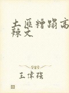 土匪糟蹋高h肉辣文封面