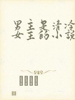 男主是清冷丞相女主的小说