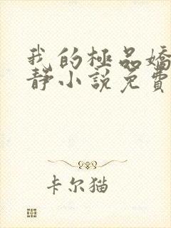 我的极品娇妻白静小说免费阅读