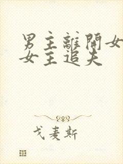 男主离开女主,女主追夫封面