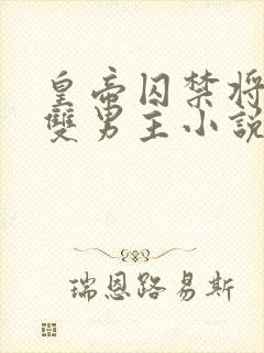 皇帝囚禁将军的双男主小说