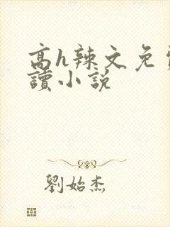 高h辣文免费阅读小说