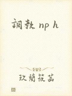 调教 np h