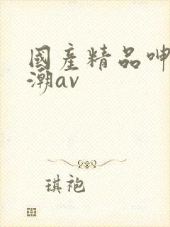 国产精品呻吟高潮av