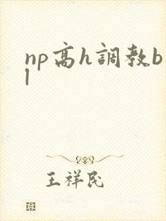np高h调教bl