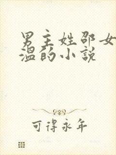 男主姓邵女主姓温的小说封面