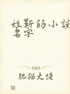 姓靳的小说女主名字