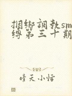 捆绑调教sm束缚第三十期封面