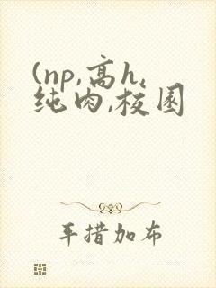 (np,高h,纯肉,校园