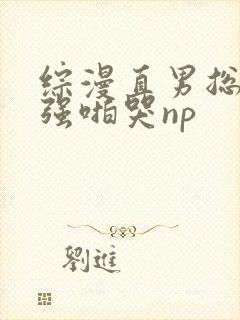 综漫直男总受被强啪哭np
