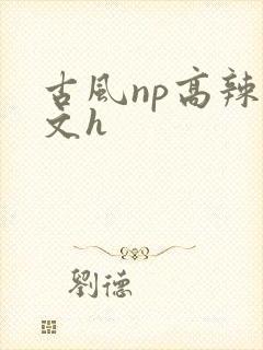 古风np高辣爽文h