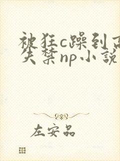 被狂c躁到高潮失禁np小说推荐