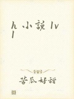 h 小说 1v1