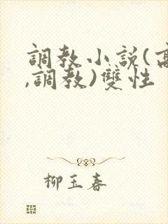 调教小说(高h,调教)双性