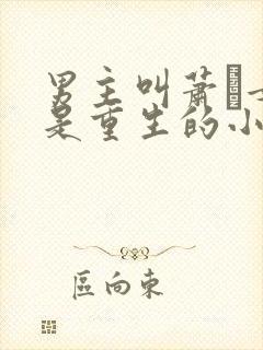 男主叫萧玦女主是重生的小说