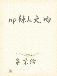 np辣h文肉封面